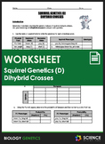 Worksheet - Squirrel Genetics With Dihybrid Crosses (Part D)