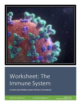 Preview of Worksheet: The Immune System (3 Worksheets in 1!)