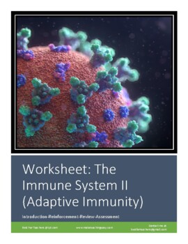 Preview of Worksheet: The Immune System II - Adaptive Body Defenses