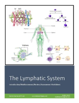 Preview of Worksheet: The Lymphatic System (Introduction-Reinforcement-Review-Assessment)