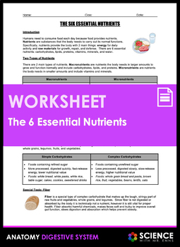 Worksheet - The Six Essential Nutrients by Science With Mr Enns | TpT