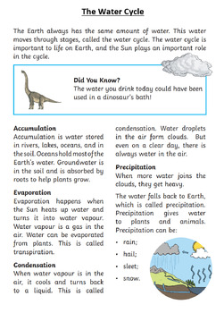 Preview of Worksheet - The Water Cycle | UK Teachers