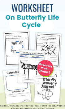 Preview of Worksheet on Butterfly Life Cycle