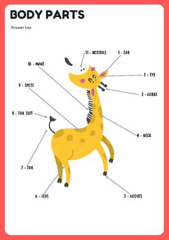 Preview of Worksheet on body parts