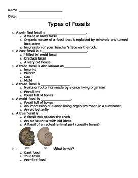 Preview of Worksheet on types of fossils