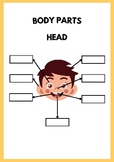 Worksheet parts of the head in English