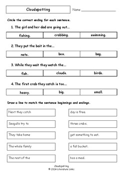 Worksheets for CLOUDSPOTTING by Samantha Tidy - Comprehension / Vocabulary