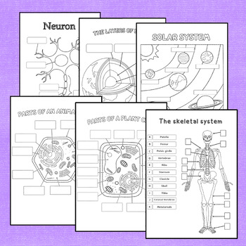 Preview of Worksheets for Elementary and Middle | science subjects.