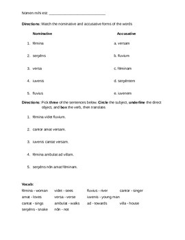 Preview of Worksheets for Studying Nominative and Accusative Cases in Latin