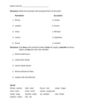 Worksheets for Studying Nominative and Accusative Cases in Latin
