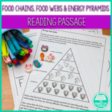 Worksheets on Food Chains and Food Webs