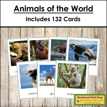 Preview of Animals of the World Bundle