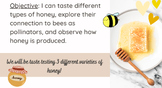 World Bee day & Science-NO PREP-20 Editable GOOGLE SLIDES!