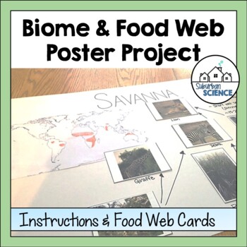 Preview of Biome Lesson Plans & Activity - Food Web Lesson Plan - Food Chain Lesson