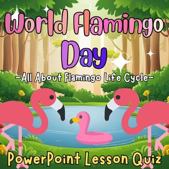 Preview of World Flamingo Day,All about Flamingo Life Cycle PowerPoint Lesson for 1st2nd3rd