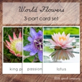 World Flowers 3-Part Card Bundle, Montessori Nomenclature Cards