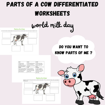 Preview of World Milk Day_Cow Appreciation Day Activities Cow Worksheets for 1st_5th