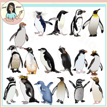 Preview of World Penguins Clip Art - All 17 species