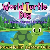 Turtle Life Cycle ,World Turtle Day, PowerPoint Lesson Qui