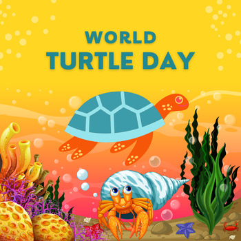 Preview of World Turtle Day Drawing Book