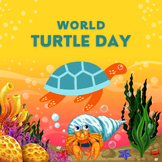 World Turtle Day Drawing Book