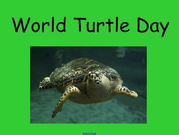Preview of World Turtle Day - Tortoises/Turtles