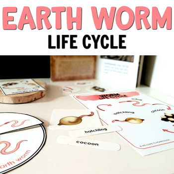 Preview of Worm Life Cycle Insect Activities
