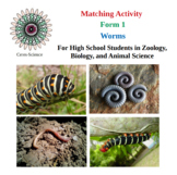 Worms - Matching Worksheet - Form 1