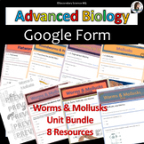 Worms and Mollusks Unit Bundle | Google Forms | Advanced Biology