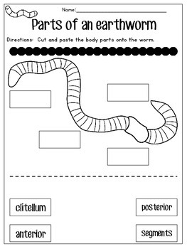 Wormy Worm-Earthworm Unit and Craft by Geaux First Grade | TpT