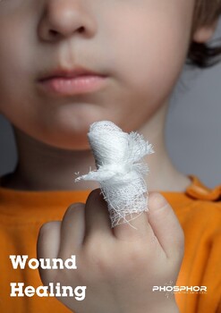 Preview of Wound Healing