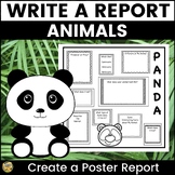 Write an Animal Report - Research Project - Create an Anim