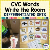 Write the Room CVC Words