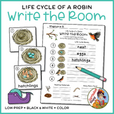 Write the Room: Life Cycle of a Robin | Bird Life Cycle, S