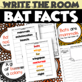Write the Room to Write a Story - Bat Facts  - Halloween Writing