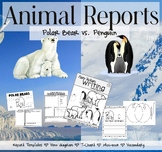 Writing About Animals - Polar Bears and Penguins