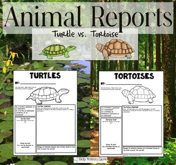 Preview of Writing About Animals - Turtles and Tortoises