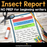 Writing Activities For Beginning Writers - NO PREP Insect 