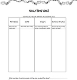 Writing:  Analyzing Voice in Text Graphic Organizer
