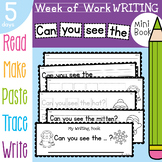 Writing Booklet - Can you see the - 5 Days of Activities W