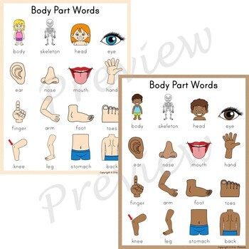 Writing Center Word List ~ Body Part Words by Erin Thomson's Primary ...