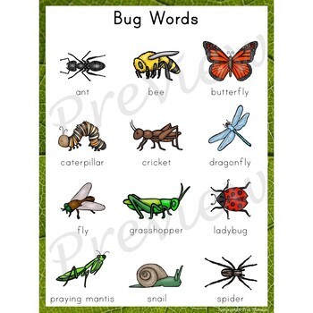 Writing Center Word List ~ Bug Words by Erin Thomson's Primary Printables