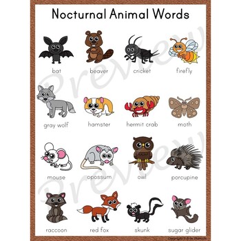 Writing Center Word List ~ Nocturnal Animal Words | TpT