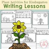 Writing Lessons / Plant Activities for Kindergarten