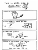 Writing Like a Scientist Mini Anchor Chart