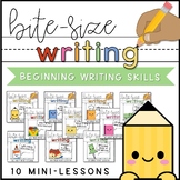 Writing Mini-Lessons | Beginning Writing Skills | Google S