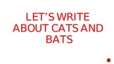 Writing Process:  Cats and Bats Stories