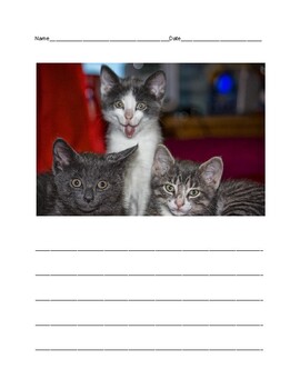 Preview of Writing Prompt-Funny Cats