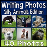 Writing Prompt Photos: 40 Animal Writing Photo Prompts | S