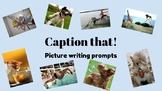 Writing Prompt Pictures